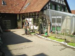 Quelle: OV Griesheim